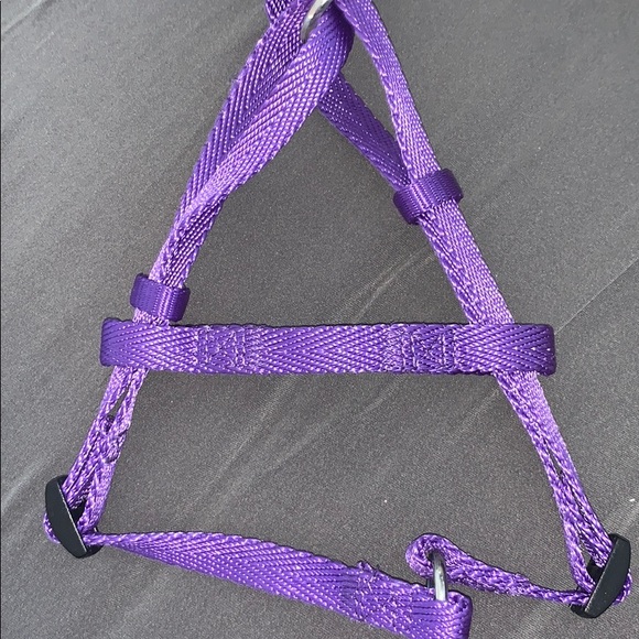 Dog Bundle 💜 - Picture 4 of 8